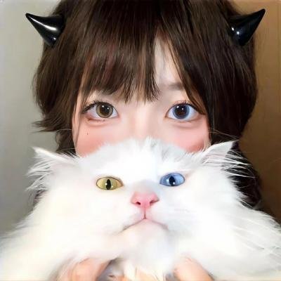 黎总的替嫁娇妻路太野