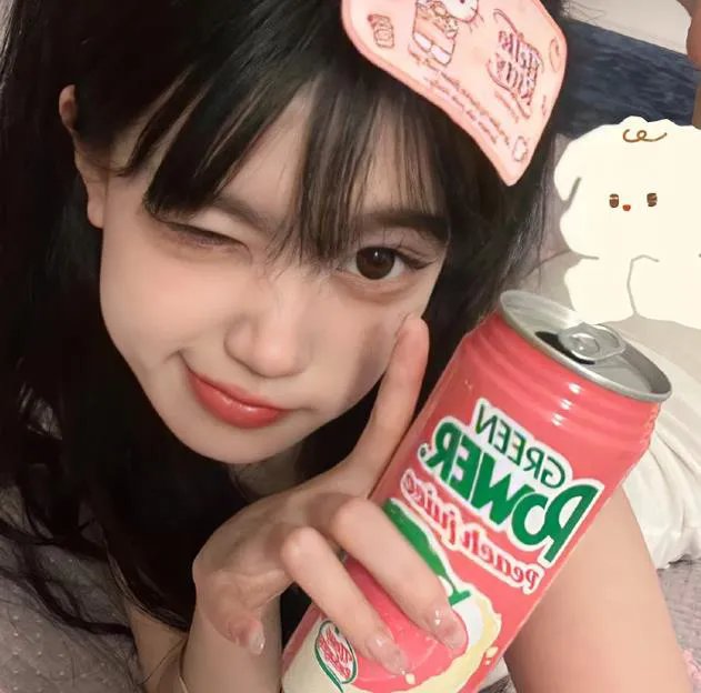 查莉成长日记第四季